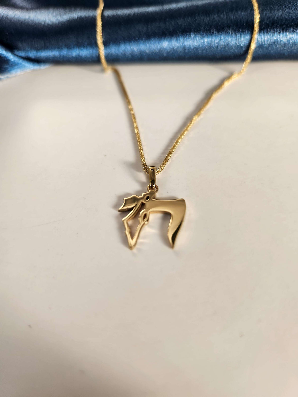 Map of Israel Hai pendant 14k gold comes on 14k gold chain.
