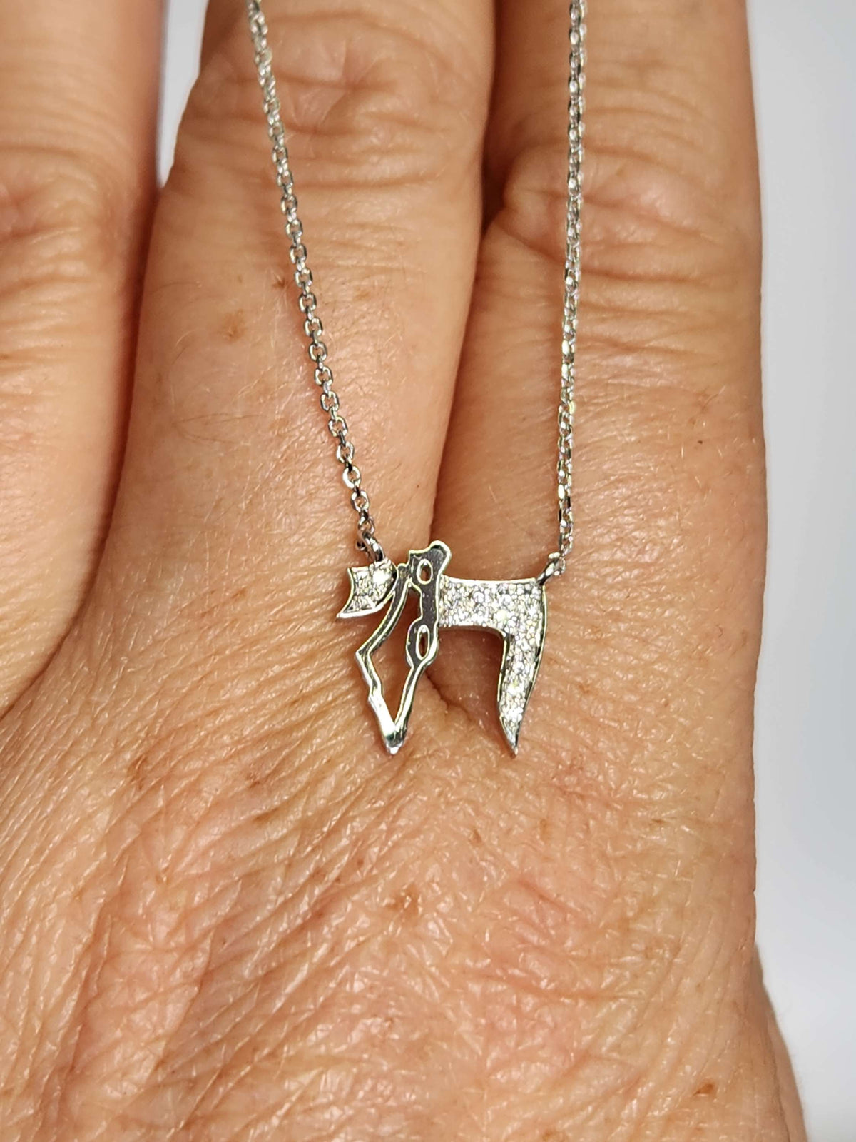עותק של Map of Israel Hai pendan,set with cvd,14k gold comes on 14k gold chain.