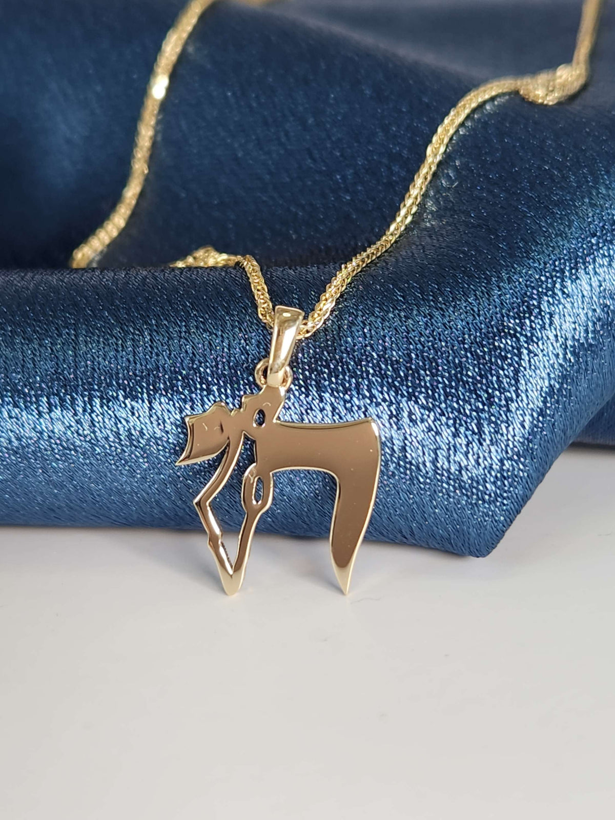 Map of Israel Hai pendant 14k gold comes on 14k gold chain.