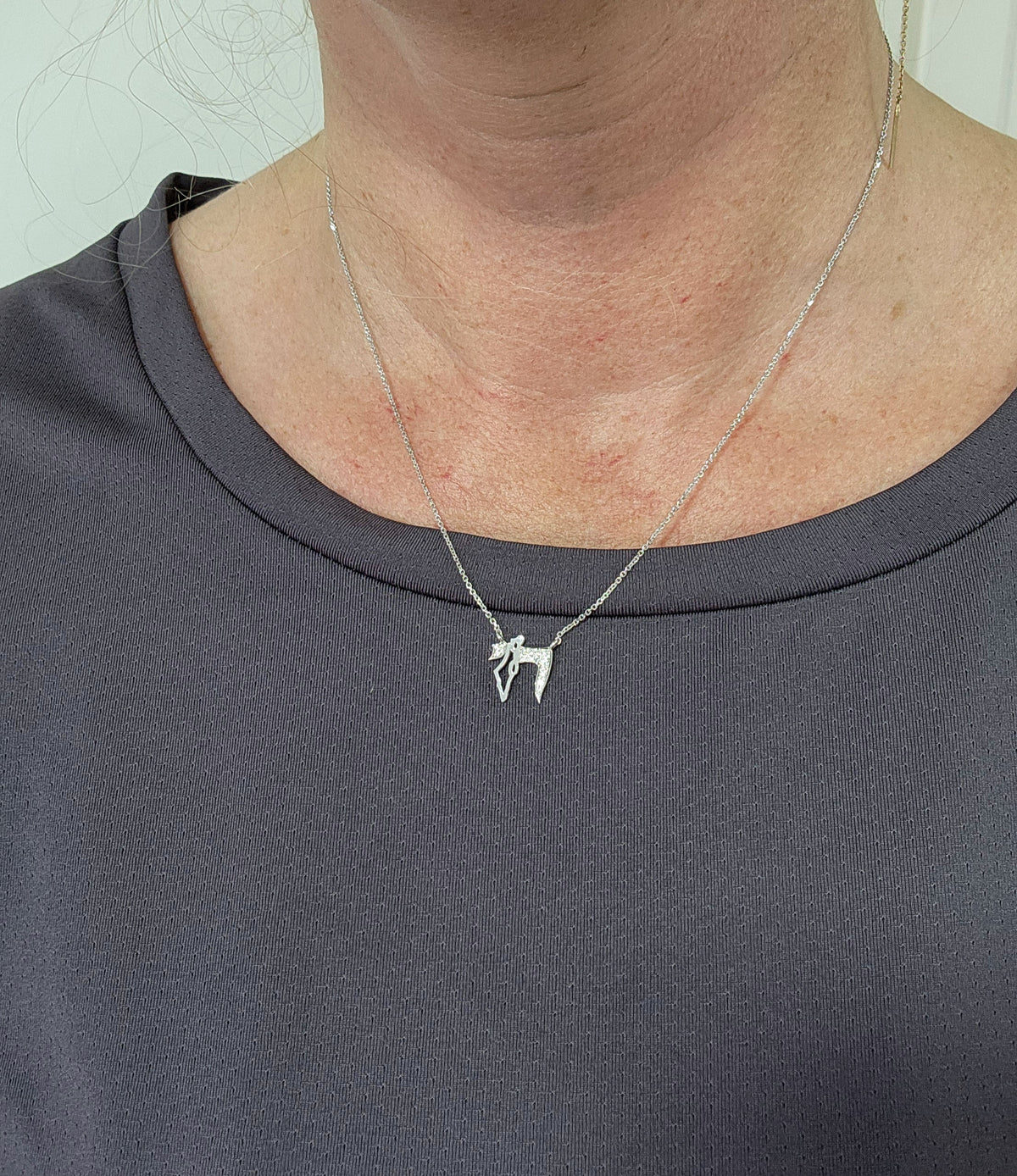 עותק של Map of Israel Hai pendan,set with cvd,14k gold comes on 14k gold chain.