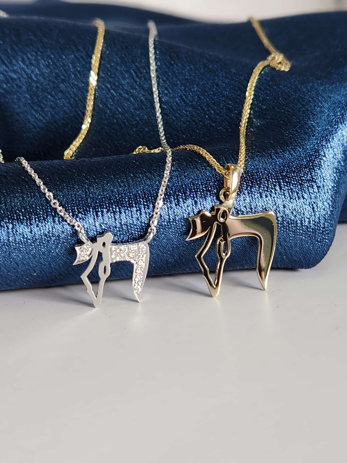 Map of Israel Hai pendant 14k gold comes on 14k gold chain.